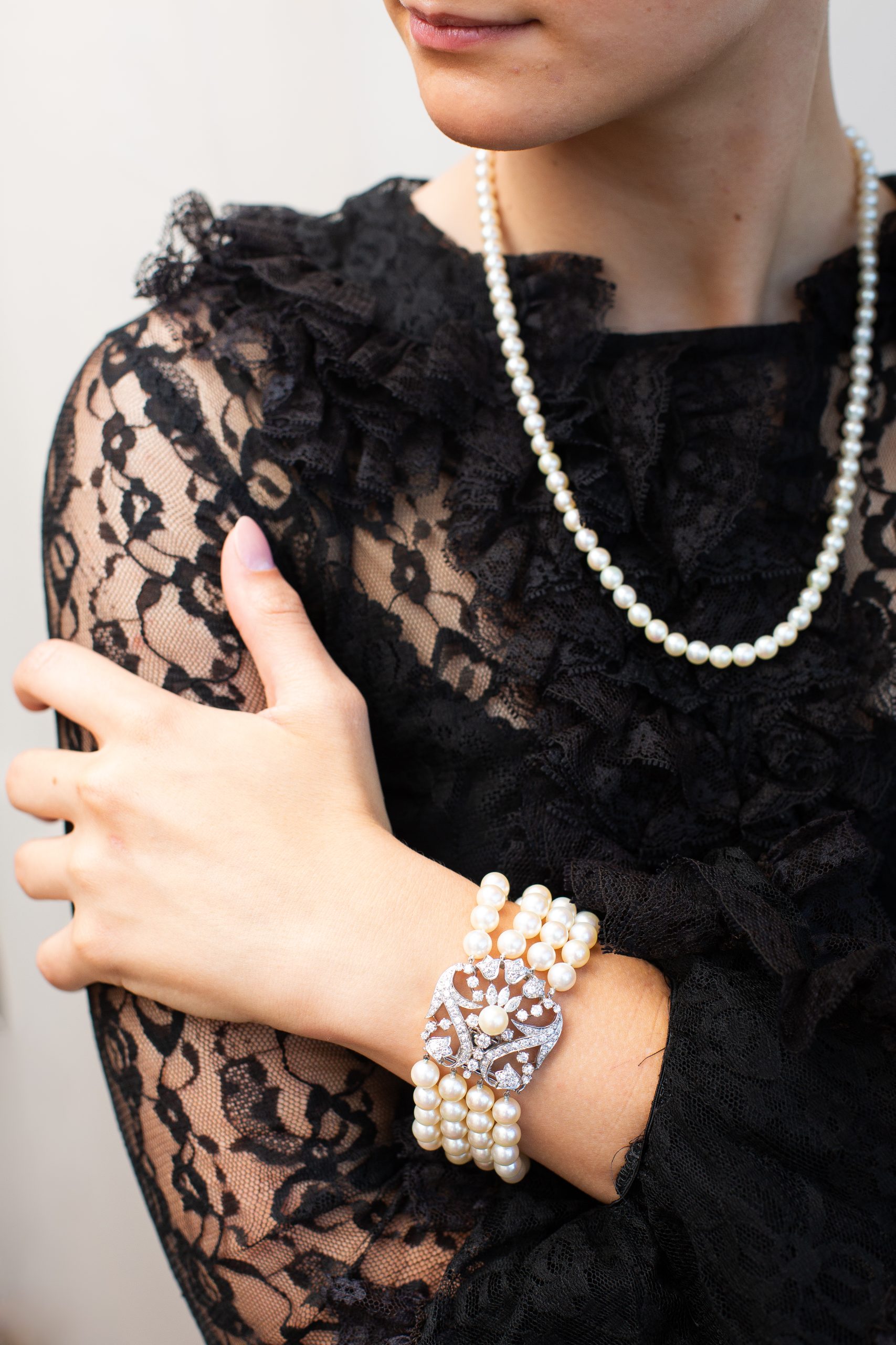 Explore Our Collections