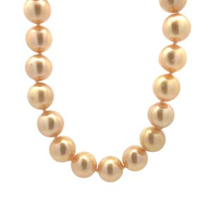 14K YELLOW GOLD AKOYA GOLDEN CULTURED PEARL NECKLACE