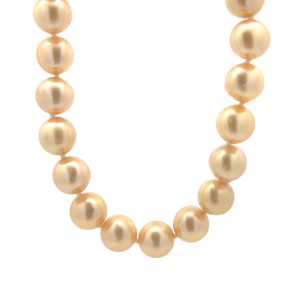 14K YELLOW GOLD GOLDEN AKOYA CULTURED PEARL NECKLACE
