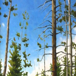 LONG POLE PINES, TETONS