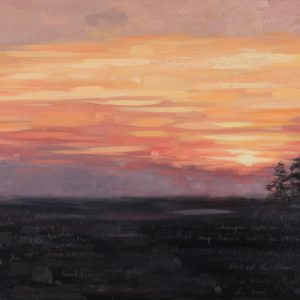 THE TRAIN THEY CALL THE CITY OF NEW ORLEANS