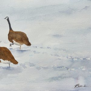WALKING ON THIN ICE