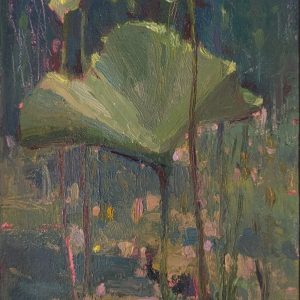 LILY POND