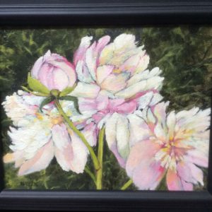 BEGONIAS