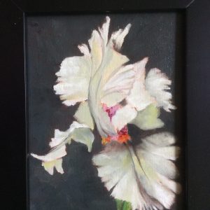 SINGLE IRIS