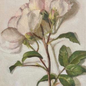 BLUSHING ROSES